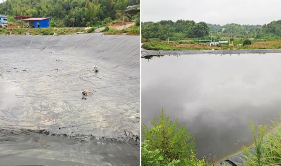 Wysokiej wydajności gładka geomembrana HDPE z 700% wydłużeniem przy pęknięciu, doskonałą odpornością chemiczną i dostosowalną szerokością do akwakultury