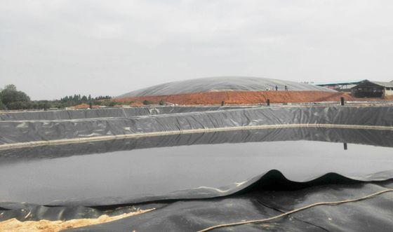 Przeciwwyciek HDPE Gładka geomembrana dla projektu rolniczego Włoki rybne Łazienki szerokość 1m-9m Długość 30-100m Grubość>0,5mm