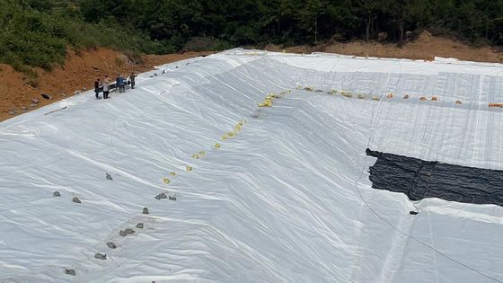 Optymalna drenaż 3D Kompozyty drenaż szerokość sieci 2m-6m Wytrzymałość na rozciąganie ≥16kN/m dla gospodarki wodą powierzchniową i podpowierzchniową