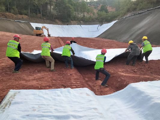 TerraDrain HD 3D drainażowa sieć: niezrównana odporność chemiczna i długowieczność