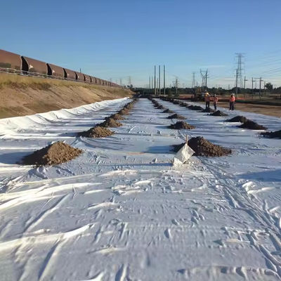 Trwała tkanina ochronna o wzmocnieniu z geotekstylem czarnym szerokość 2-6 m